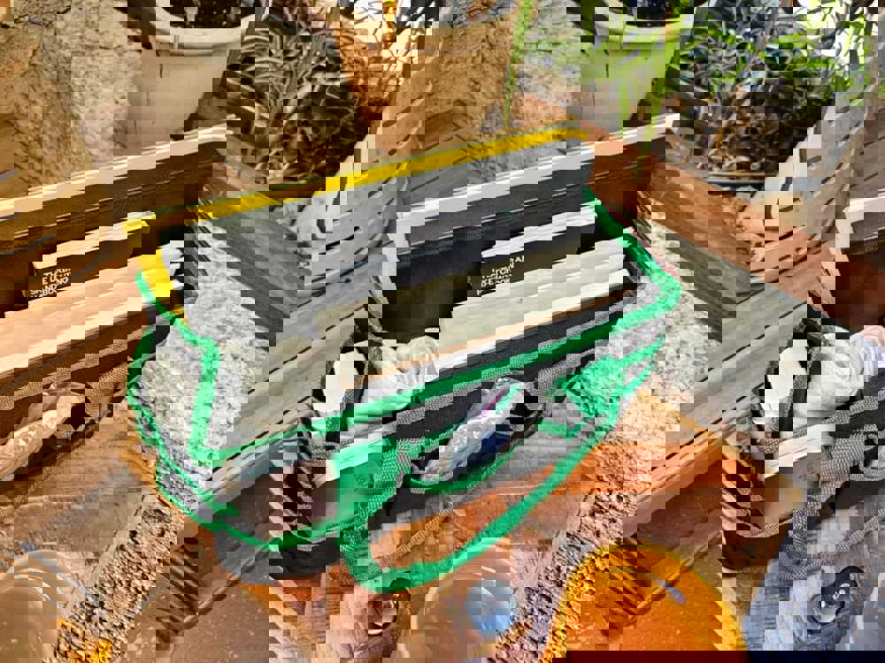 566833