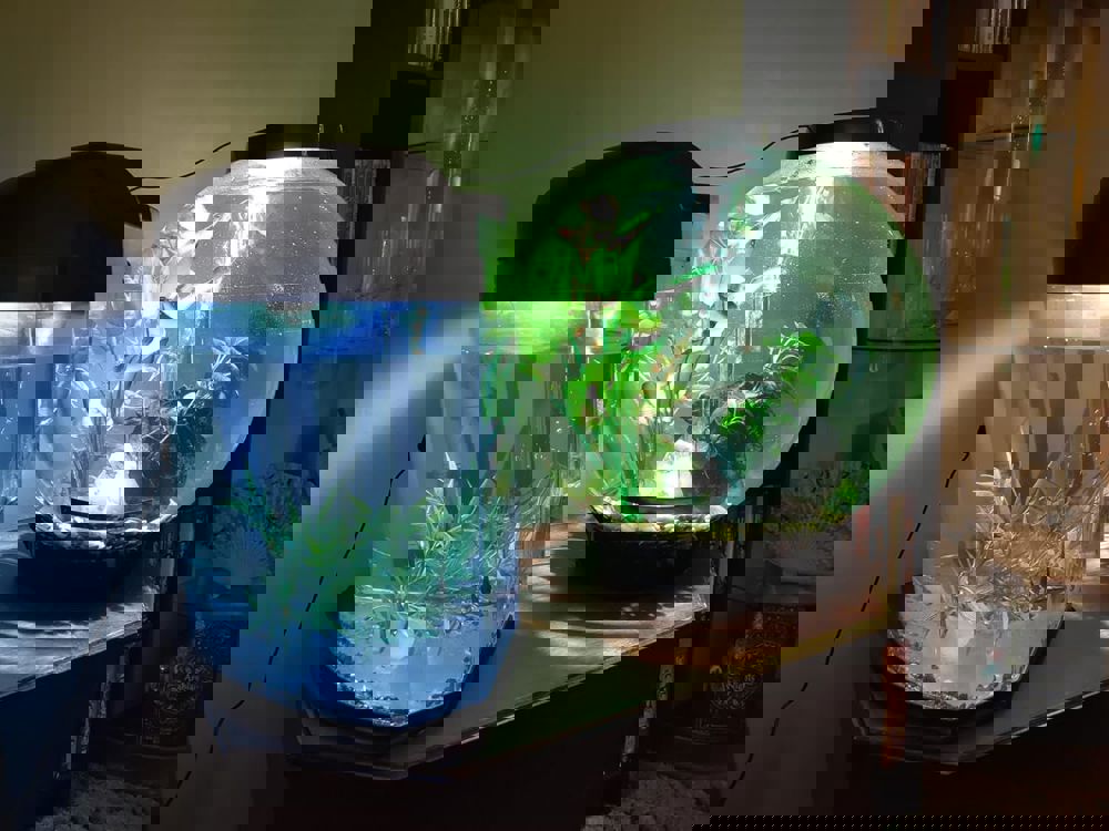 573674