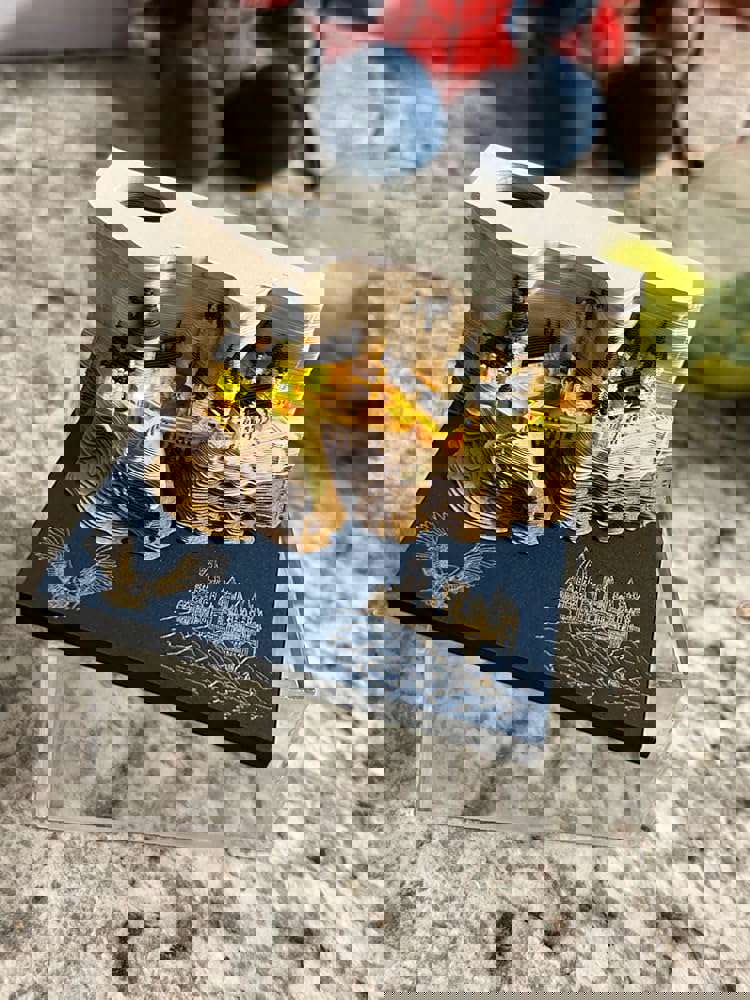 573647