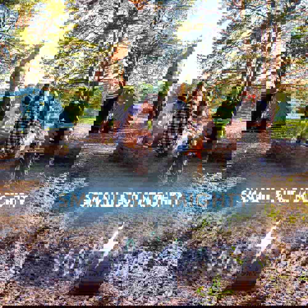 566534