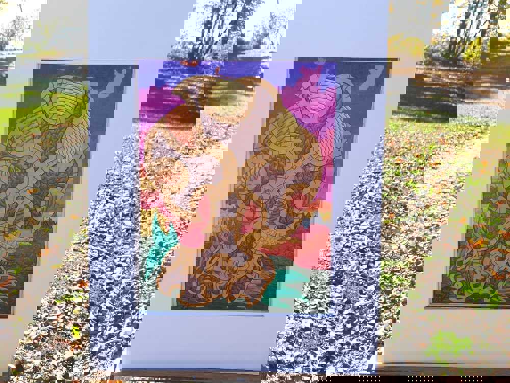 567678