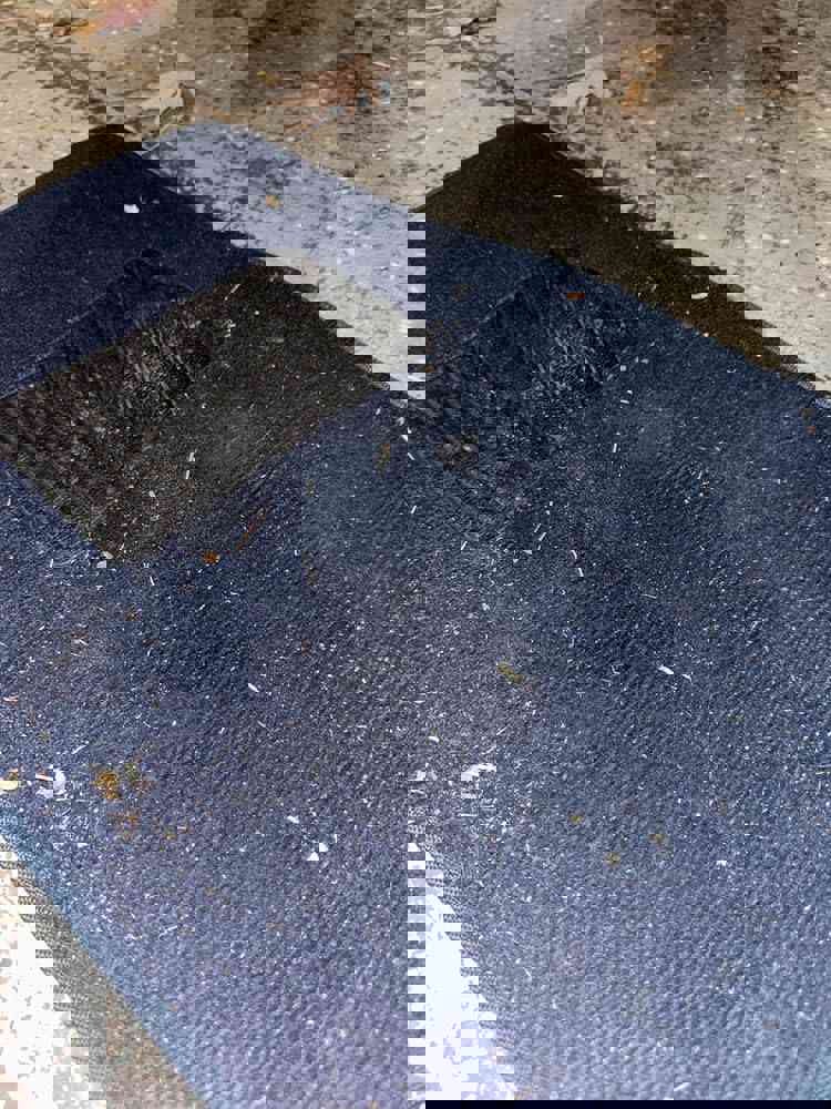 566490