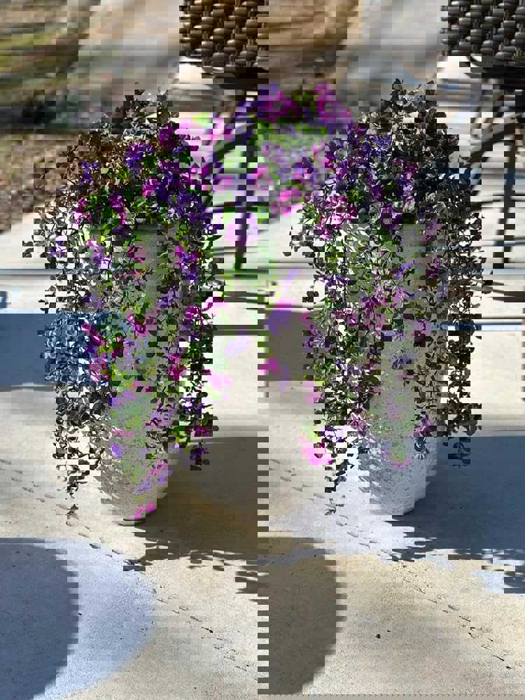 566290