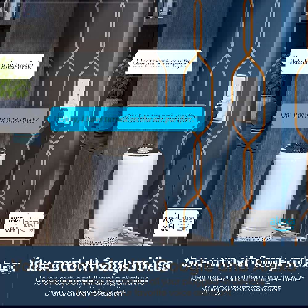 566494