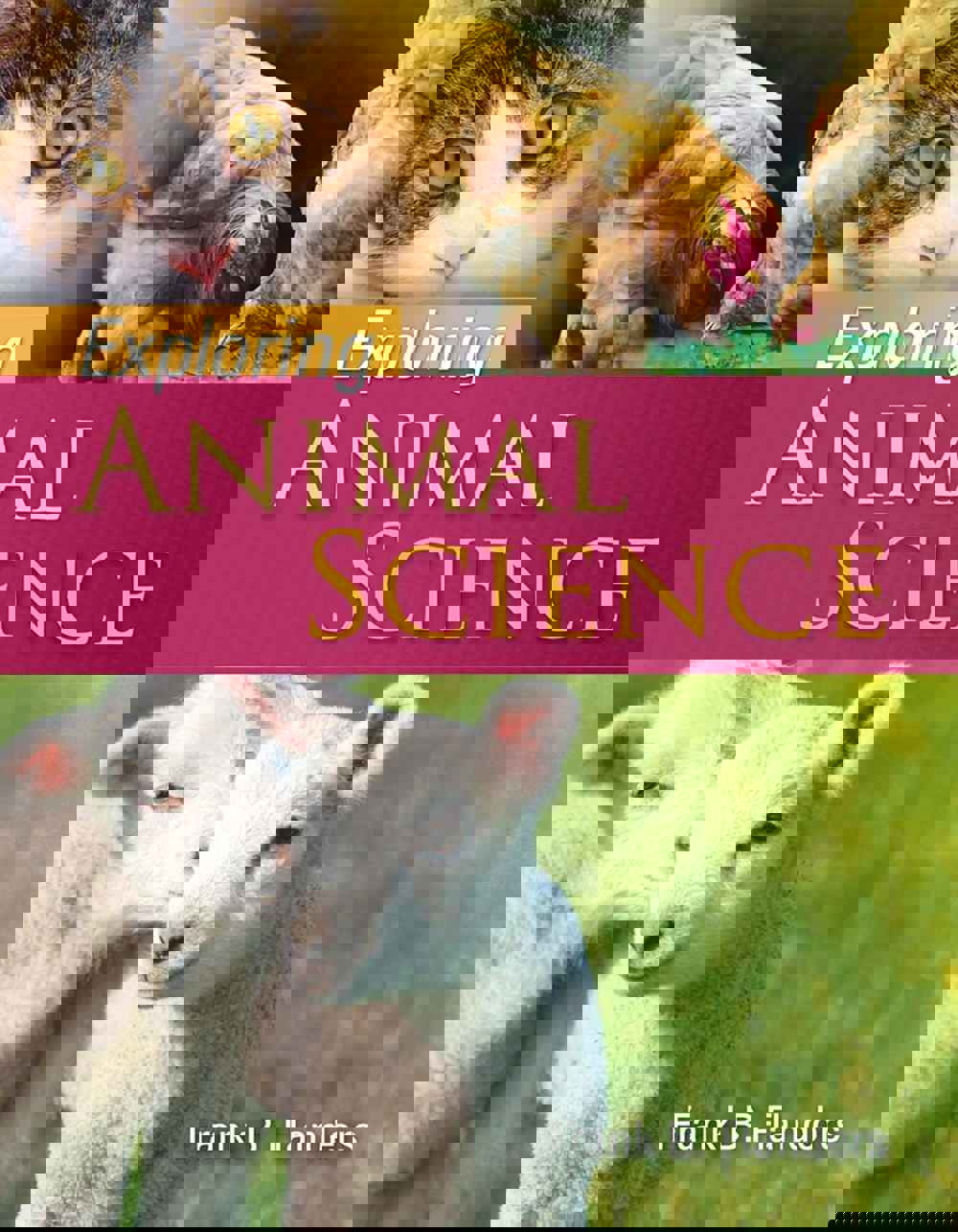 566480