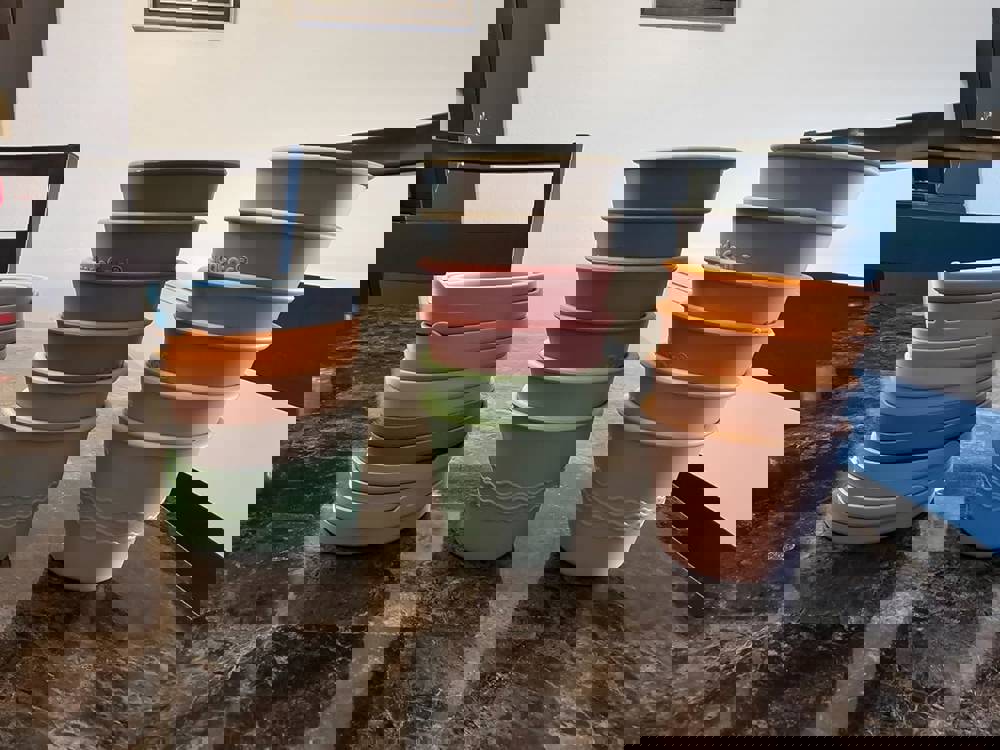 576131