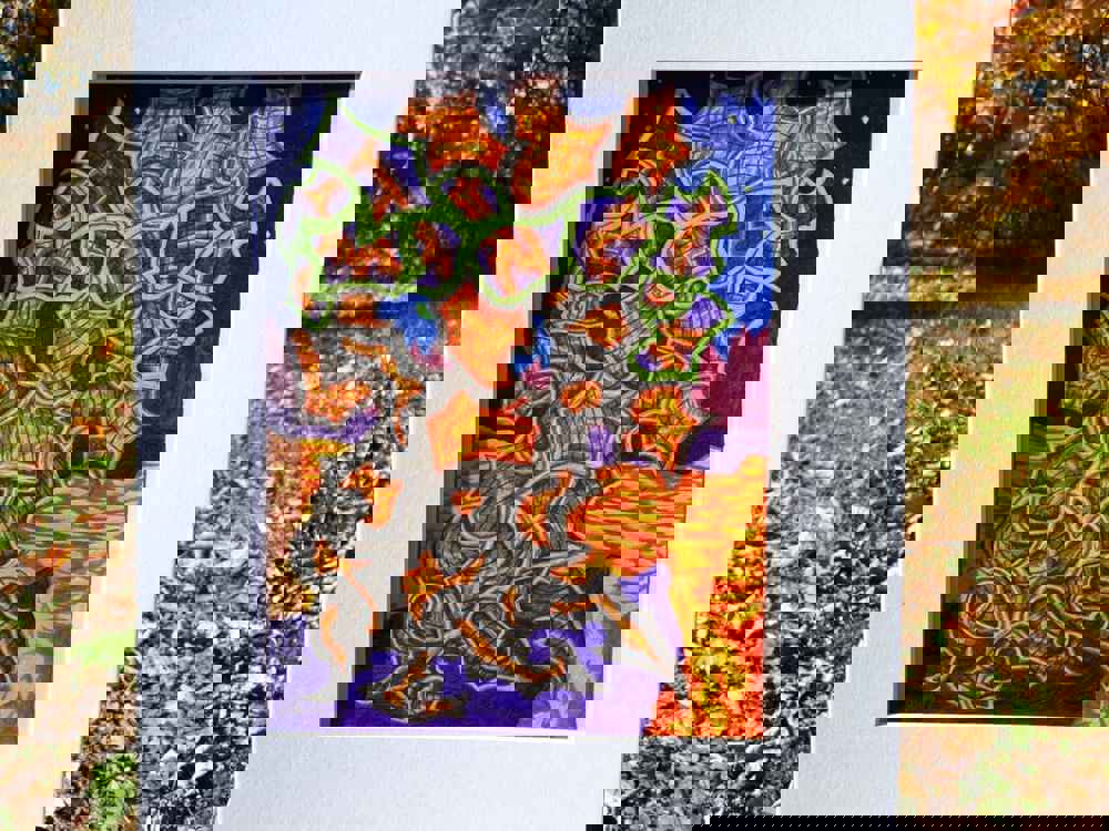 567677
