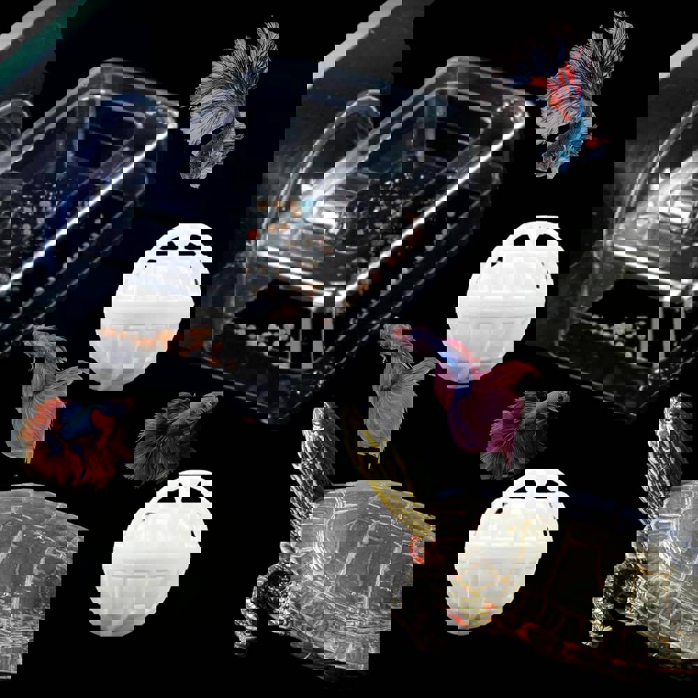595058