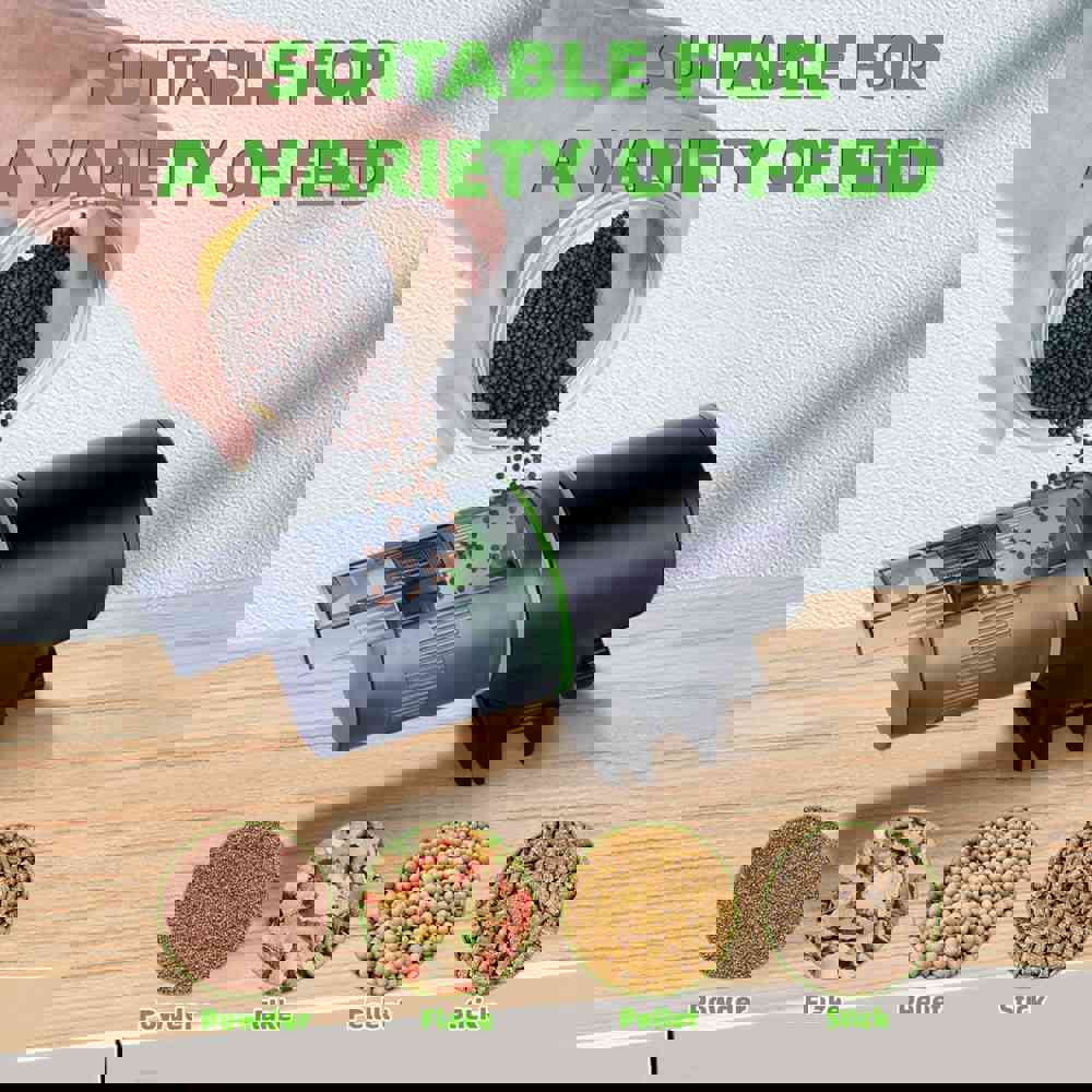594931