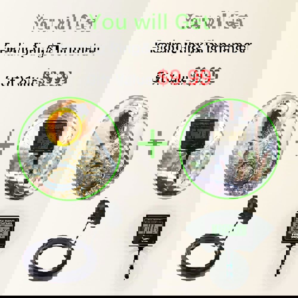 594927