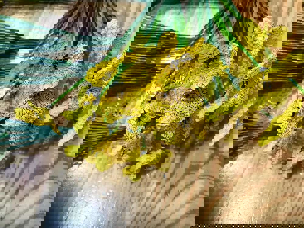 578508
