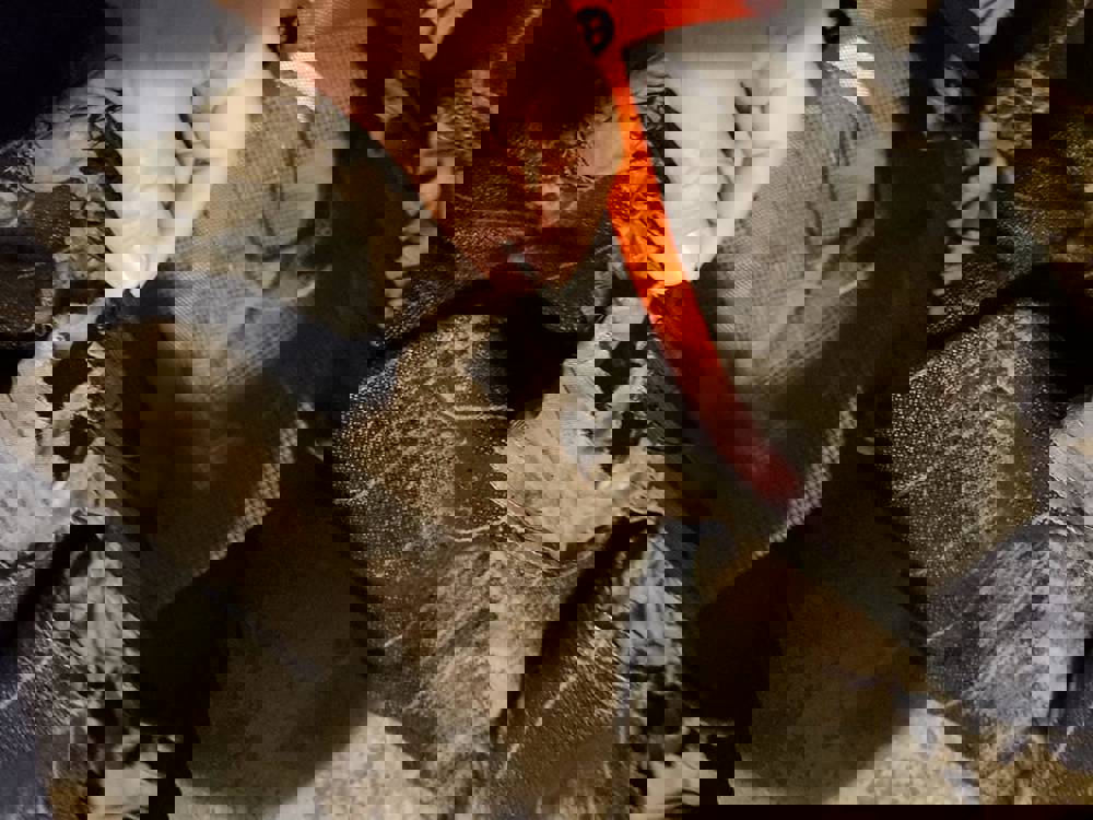 592802