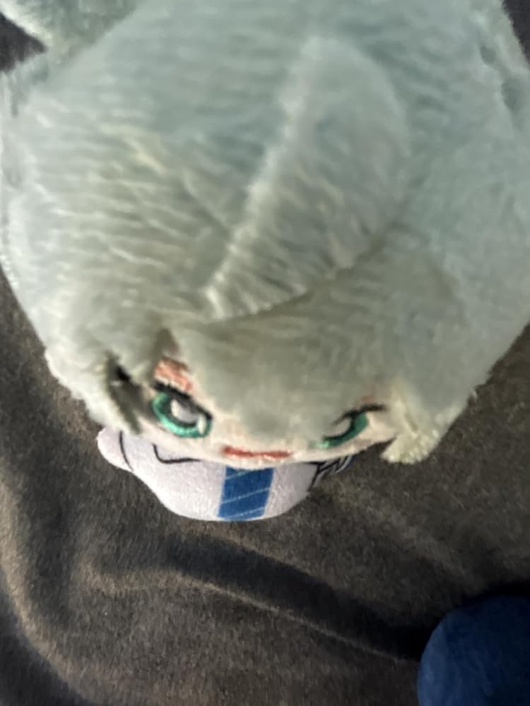 578491