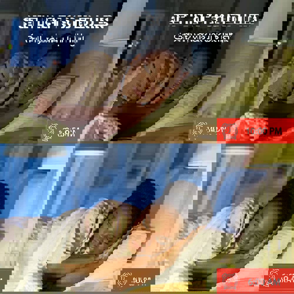 601040