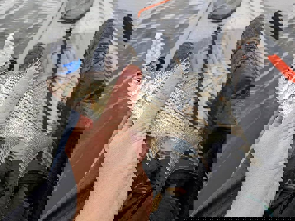 599275