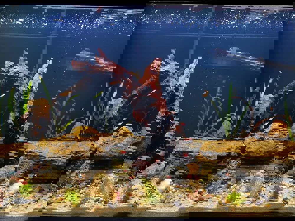 597964