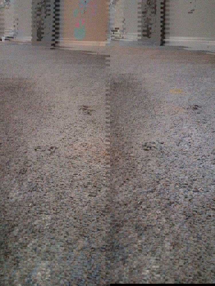 617129