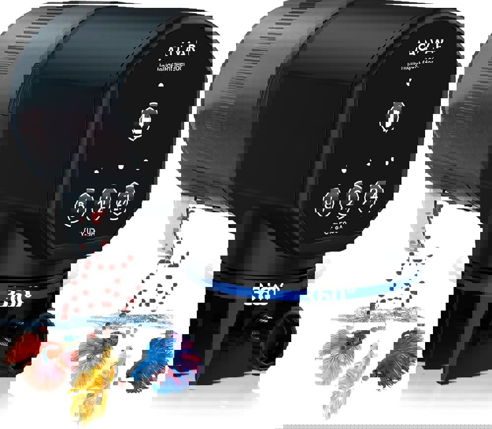 600970
