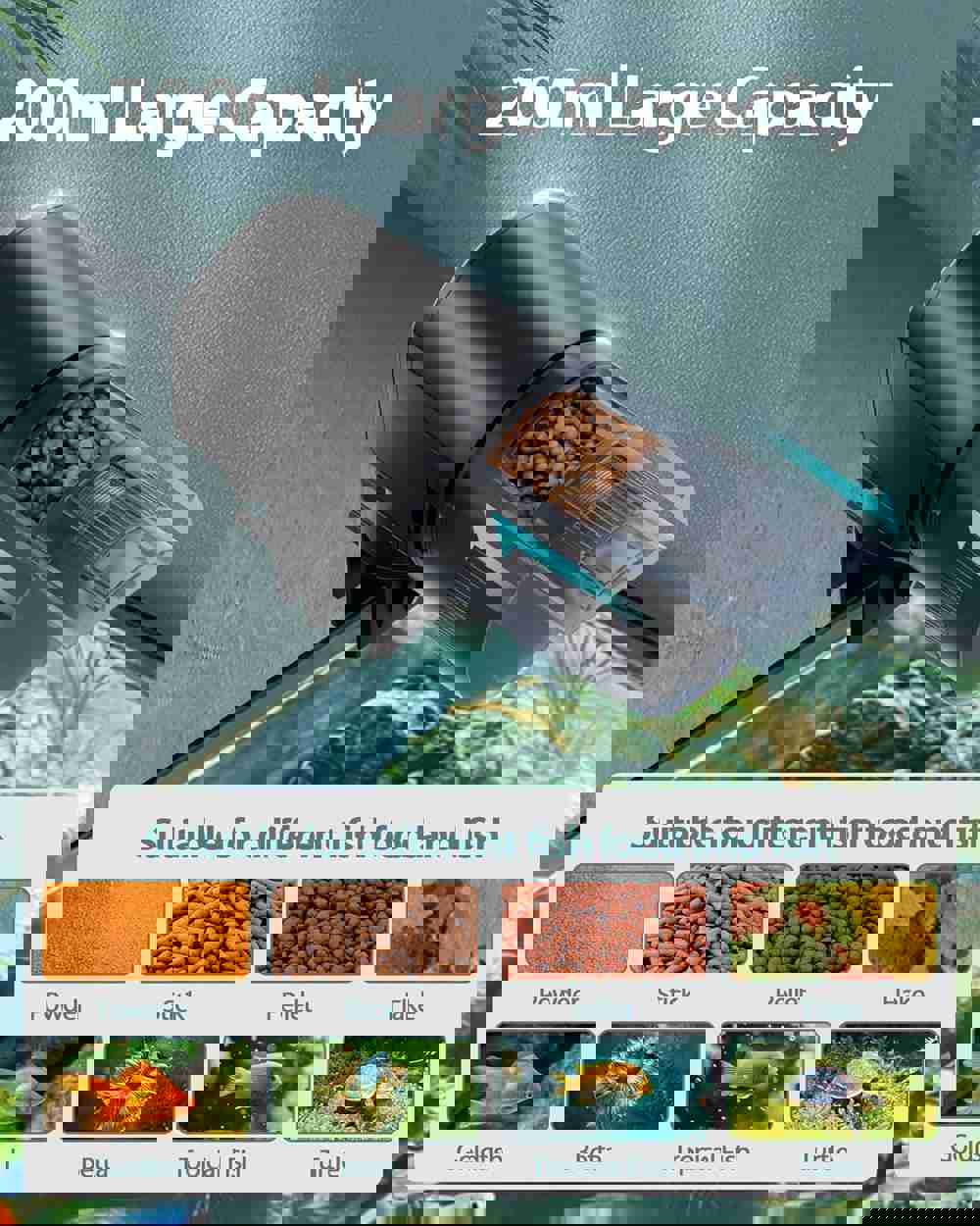 600973