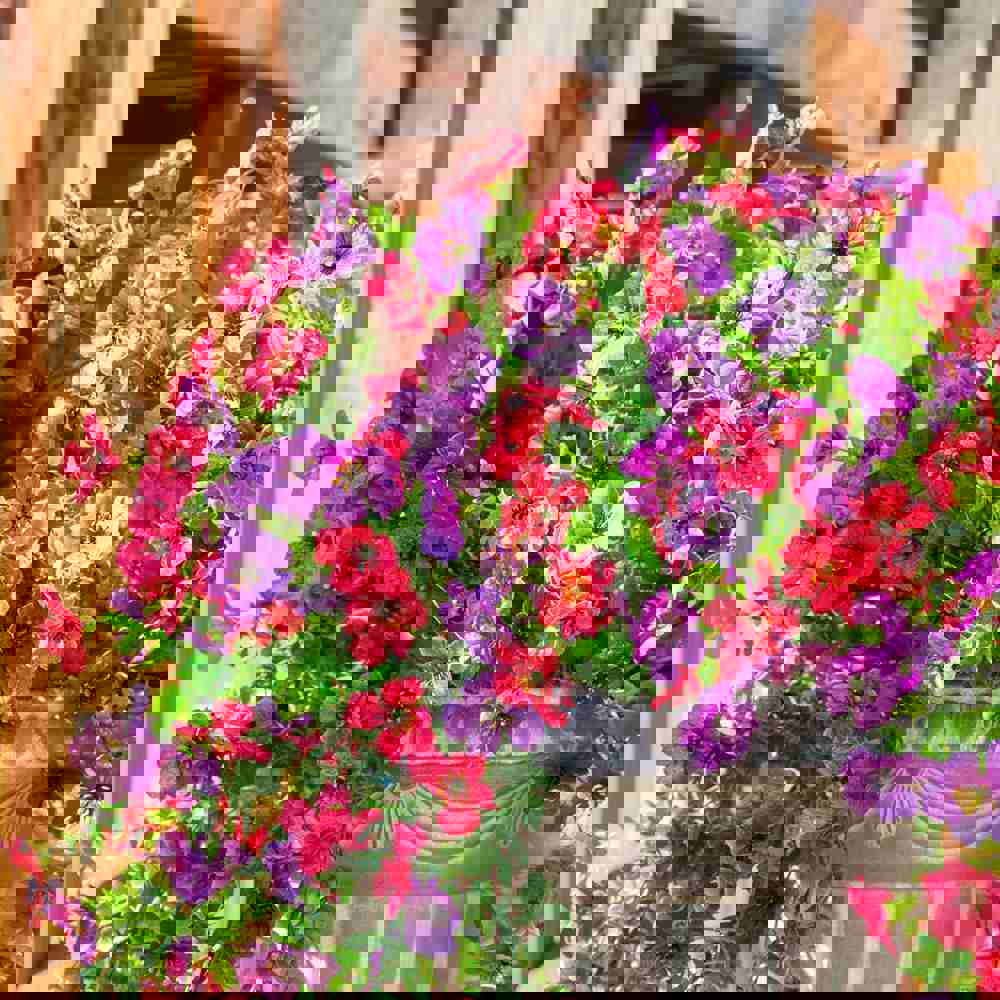 615129