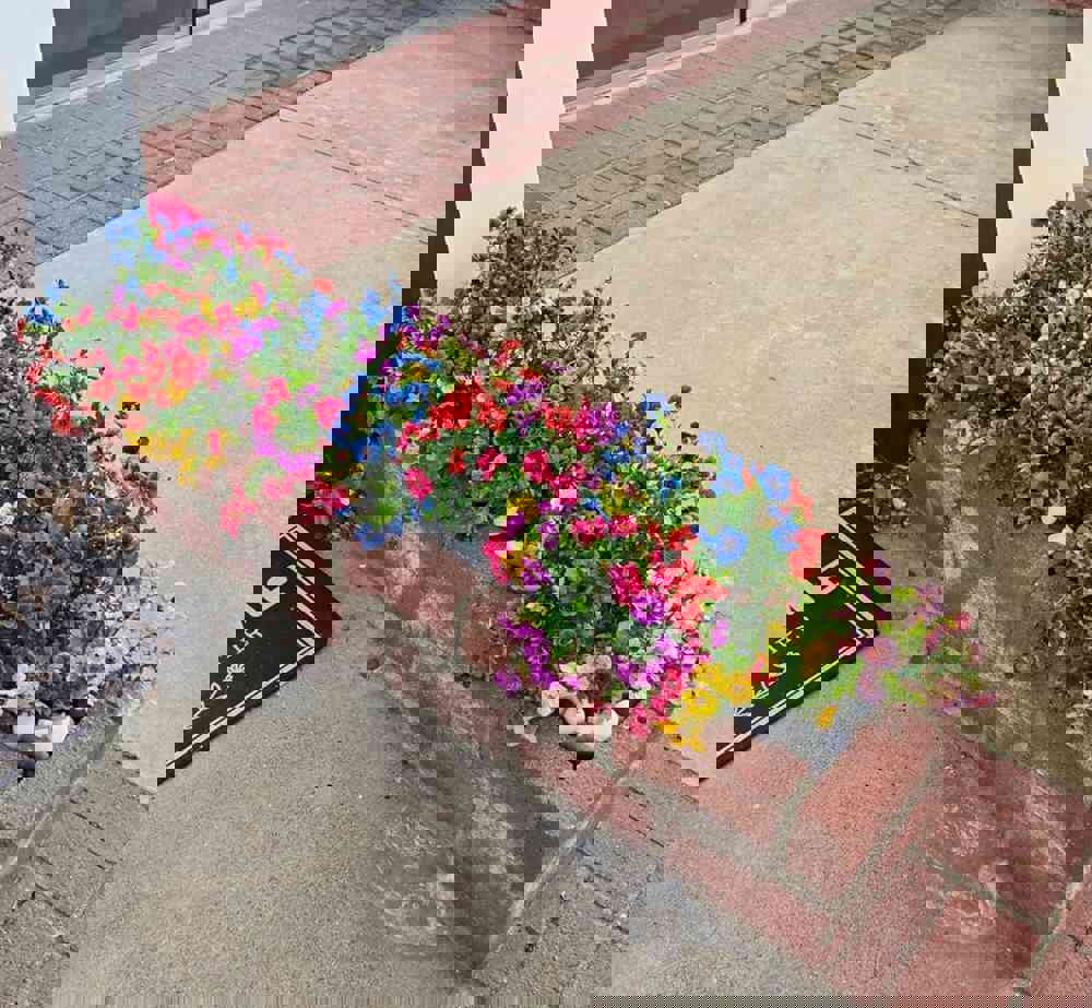 596585